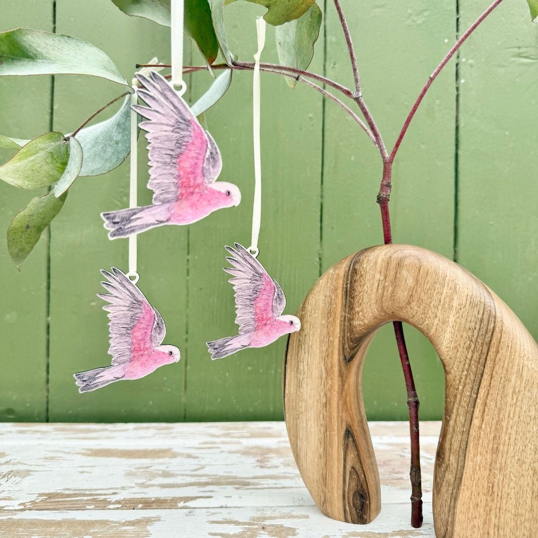 Bridget Farmer Australian Birds Christmas Ornaments - Set of 3