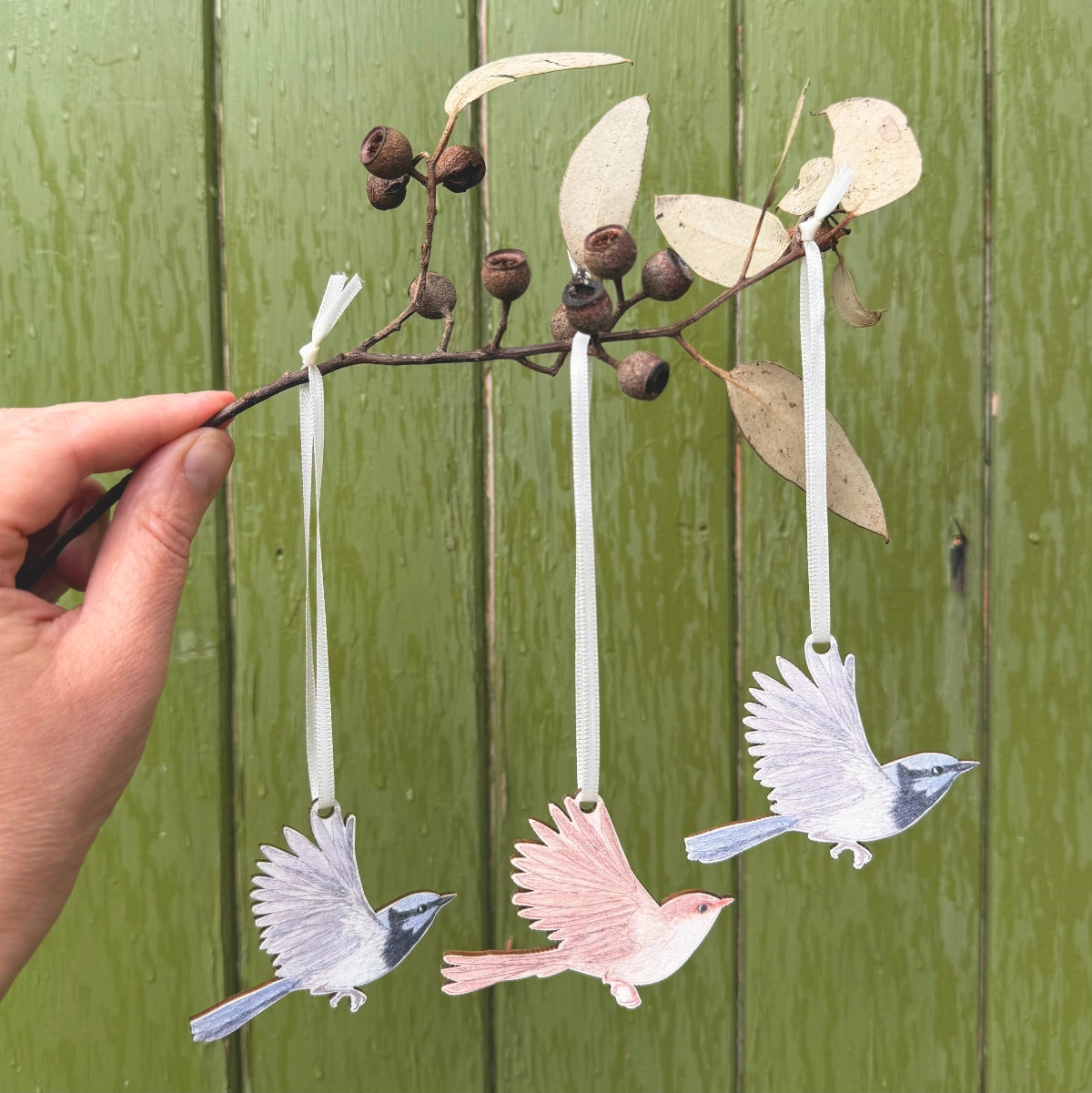 Bridget Farmer Australian Birds Christmas Ornaments - Set of 3
