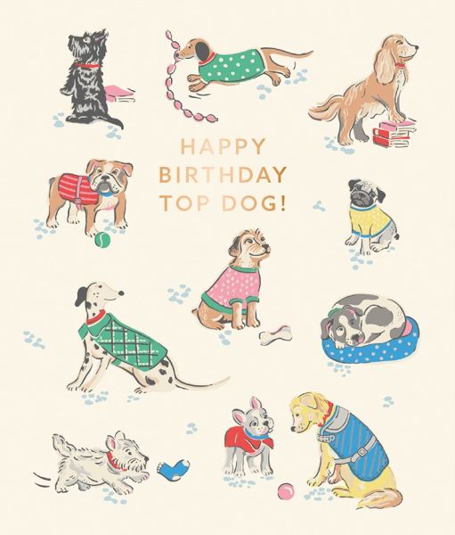 Happy Birthday Top Dog Greeting Card