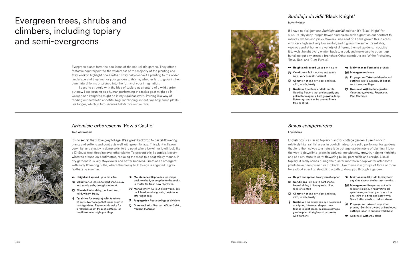 Wild by Design - Naturalistic Gardening for Modern Australian Landscapes by Tim Pilgrim