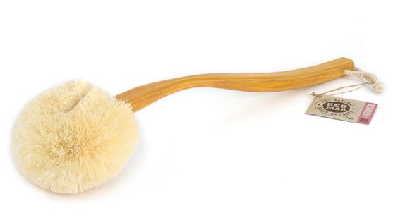 Eco Max Back Brush with Long Handle