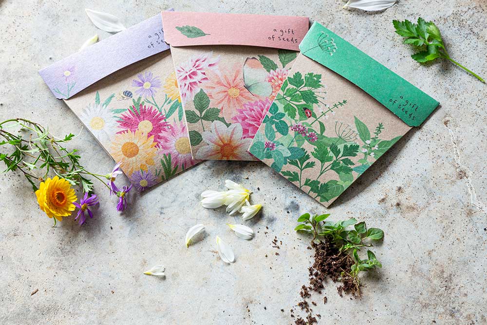 Sow 'n Sow Gift of Seeds Greeting Card - 11 Varieties