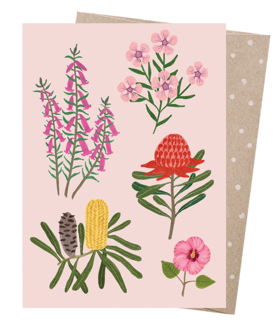 Earth Greetings Australian Wildflowers Pack of 8 Cards