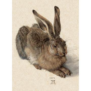 Field Hare Card