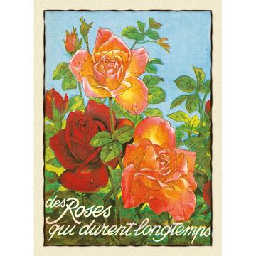 Rustica Roses Card
