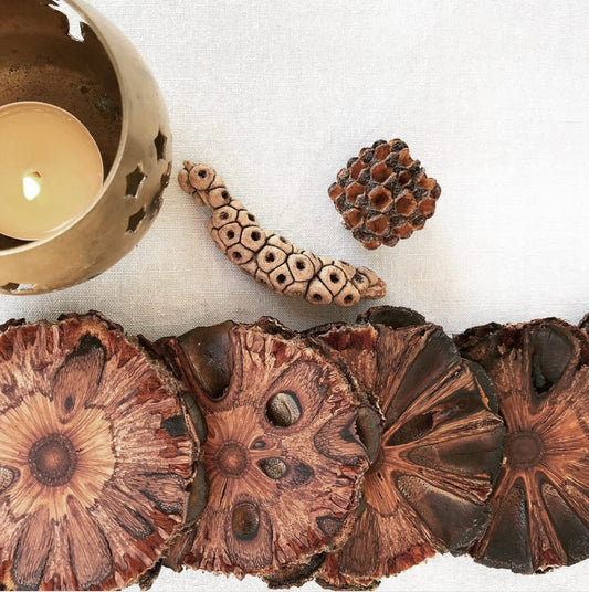 Banksia Pod Coasters