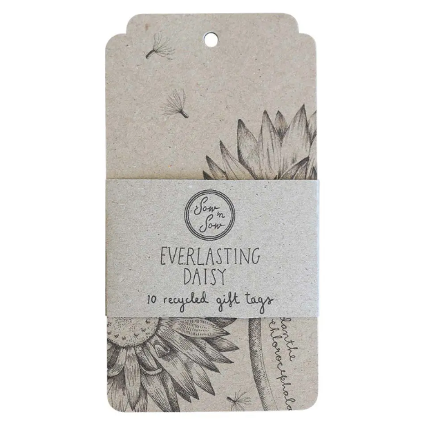 Sow 'n Sow Everlasting Daisy Gift Tags