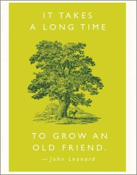 It Takes Time To Grow An Old Friend Greeting Card
