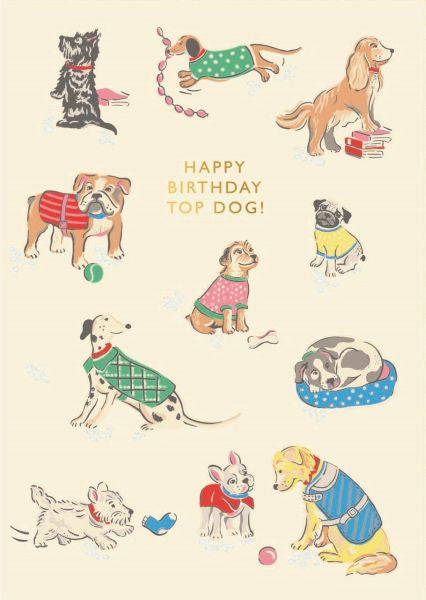 Happy Birthday Top Dog Greeting Card